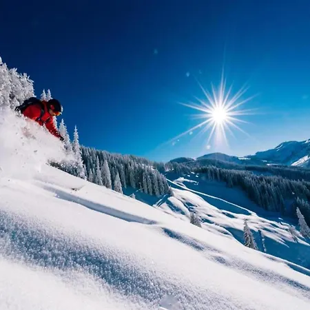 In Near Slopes Майсхофен