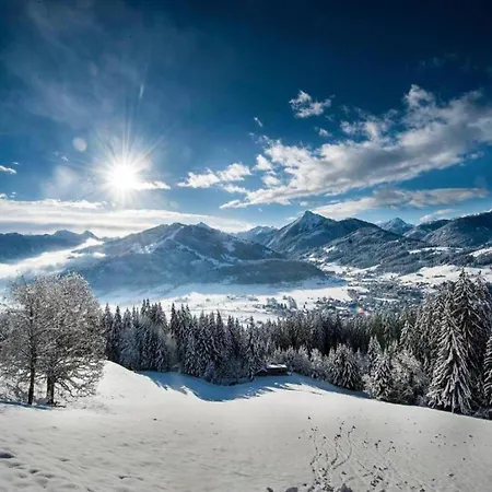 Апартаменты In Near Slopes Майсхофен